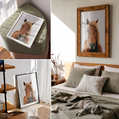 Nástěnný plakát Portrét koně minimalismus přírodní krása elegance