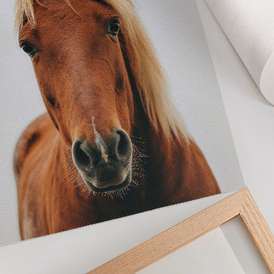 Nástěnný plakát Portrét koně minimalismus přírodní krása elegance