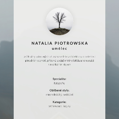 Plakátový obraz Dřevěná chata v minimalistickém stylu u vody