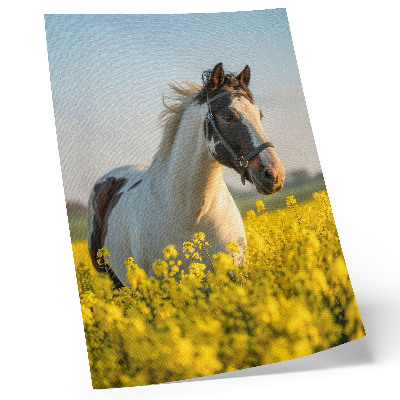Dekorativní plakát Elegantní kůň na jarním poli plném květin