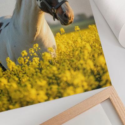 Dekorativní plakát Elegantní kůň na jarním poli plném květin