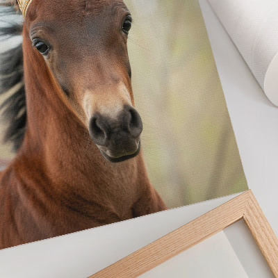 Dekorativní plakát Kůň s korunou na neutrálním pozadí