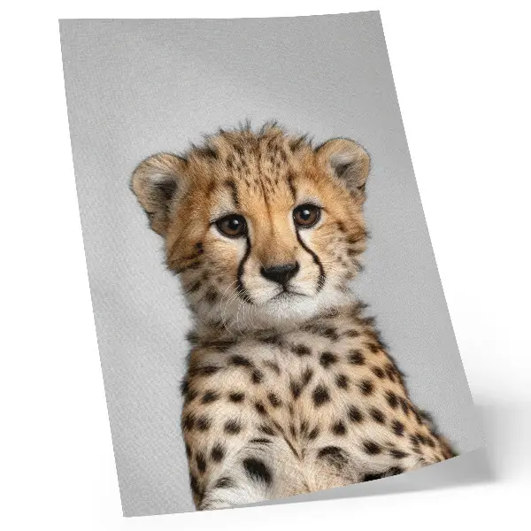 Plakátový obraz roztomilý gepard na minimalistickém pozadí
