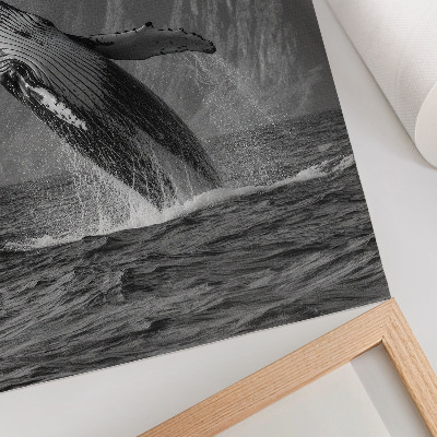 Plakátový obraz Fotografie skákající velryby s horami v pozadí.