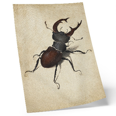Plakát Roháč od Albrechta Dürera (1505)