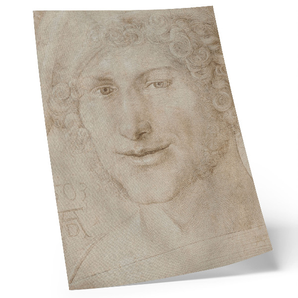 Plakát Hlava mladého muže (1503) od Albrechta Dürera