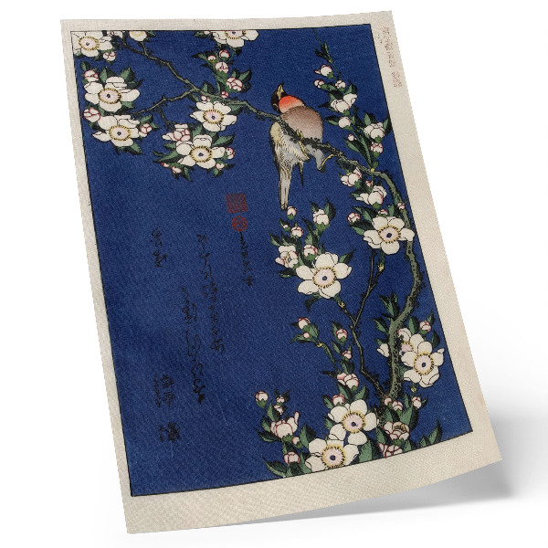 Plakát Katsushika Hokusai (1760-1849), Robin na větvi třešňového květu