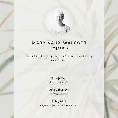 Dekorativní plakát Divoký ananas (Tillandsia fasciculata) (1921) od Mary Vaux Walcott