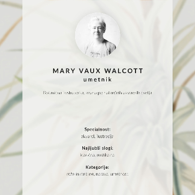 Dekorativní plakát Divoký ananas (Tillandsia fasciculata) (1921) od Mary Vaux Walcott