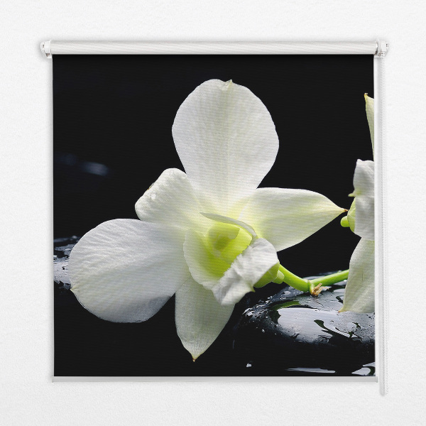 Okenní roleta vnitřní s motivem orchidejí a elegantním designem