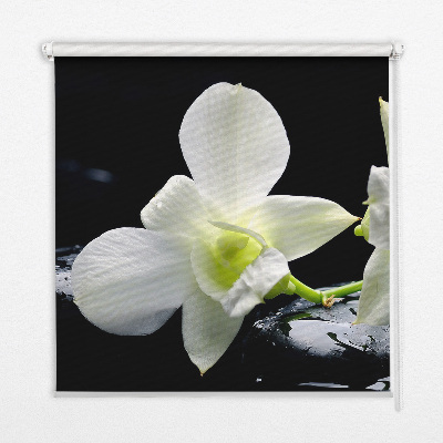 Okenní roleta vnitřní s motivem orchidejí a elegantním designem
