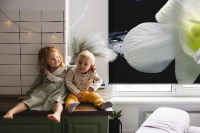 Okenní roleta vnitřní s motivem orchidejí a elegantním designem