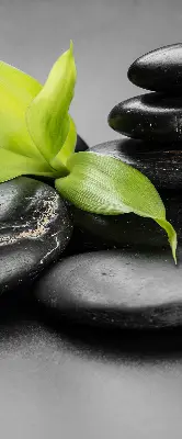 Okenní roleta vnitřní s motivem orchidejí na kamenech