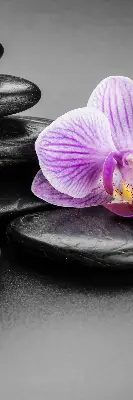 Okenní roleta vnitřní s motivem orchidejí na kamenech