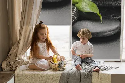 Okenní roleta vnitřní s motivem orchidejí na kamenech