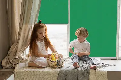 Okenní roleta zelené barvy