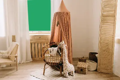 Okenní roleta zelené barvy