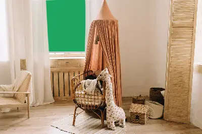 Okenní roleta zelená