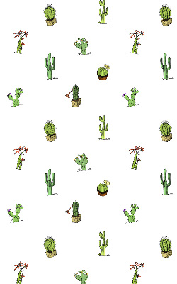 Okenní roleta s motivem kaktusů