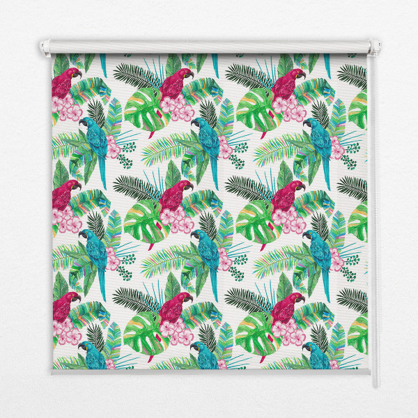 Okenní roleta s motivem papoušků