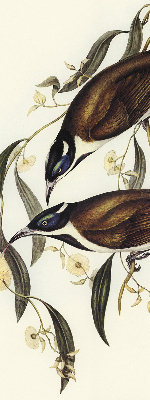 Okenní roleta vnitřní s motivem ptáků na stromě