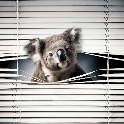 Látková roleta koala