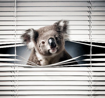 Látková roleta koala