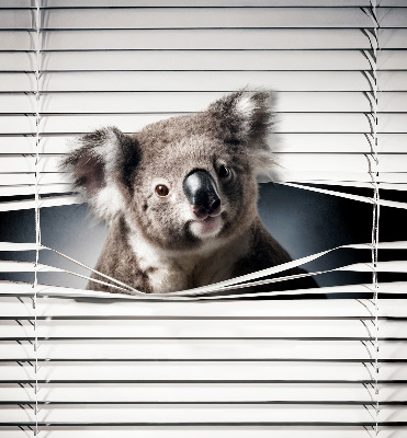 Látková roleta koala
