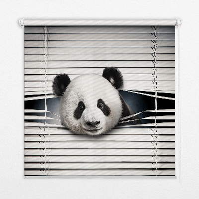 Okenní roleta vnitřní v provedení Panda