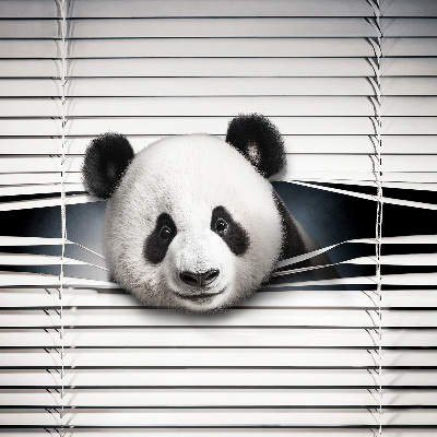 Okenní roleta vnitřní v provedení Panda