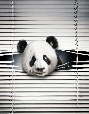 Okenní roleta vnitřní v provedení Panda