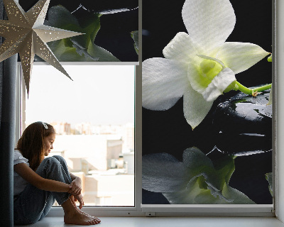 Zatemňovací roleta na okno s motivem orchidejí a elegantním designem