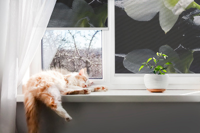 Zatemňovací roleta na okno s motivem orchidejí a elegantním designem