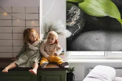 Zatemňovací roleta na okno na motiv orchideje na kamenech