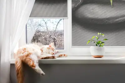 Zatemňovací roleta na okno na motiv orchideje na kamenech