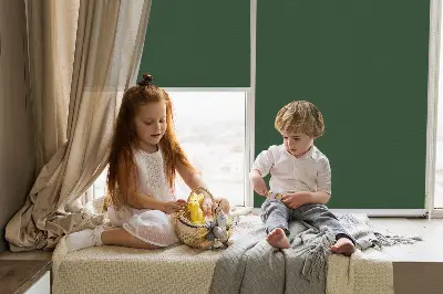 Zatemňovací roleta na okno v zelené barvě