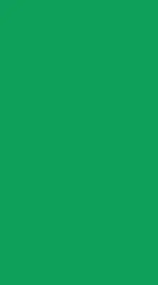 Látková roleta na okno zelený