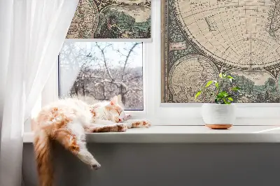 Zatemňovací roleta na okno s mapou světa