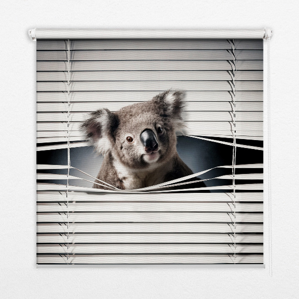 Roleta zatemňovací koala