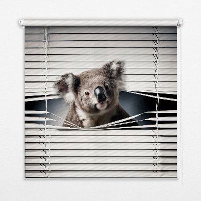Roleta zatemňovací koala