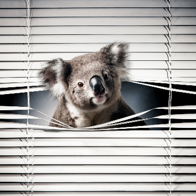 Roleta zatemňovací koala