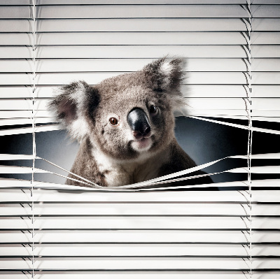 Roleta zatemňovací koala