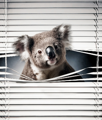 Roleta zatemňovací koala