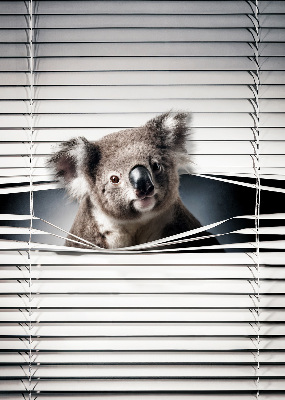 Roleta zatemňovací koala