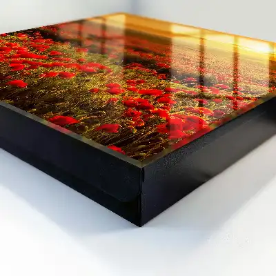 Designová skříňka na klíče Maková pole