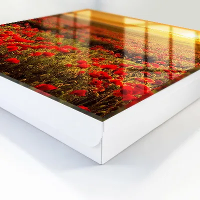 Designová skříňka na klíče s motivem makových polí