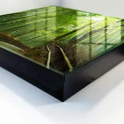 Designová skříňka na klíče Bambusová stezka