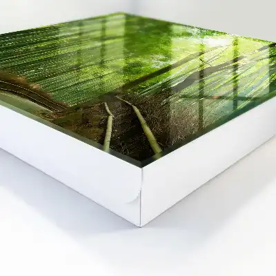 Designová skříňka na klíče Bambusová stezka