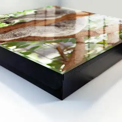 Designová skříňka na klíče Koala relax