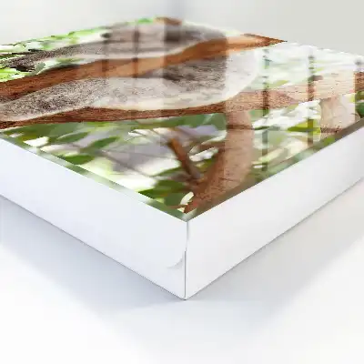 Designová skříňka na klíče Koala relax